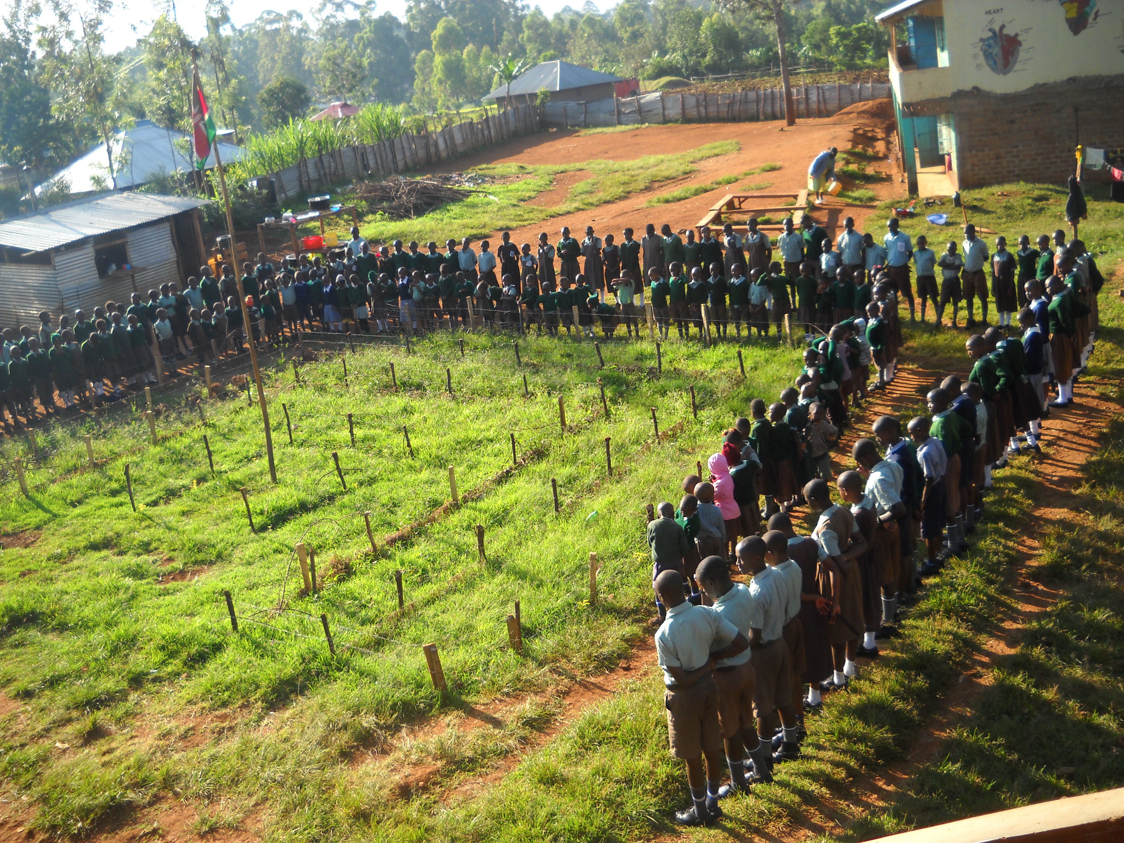 Buy adjoining land and expand the school to meet the Kenyan Ministry of Education requirements for a primary school.